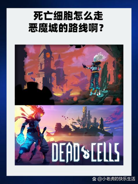 死亡细胞出不去了