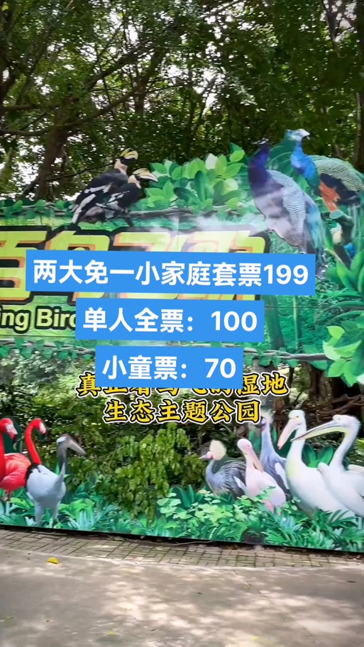 飞鸟乐园演出时间