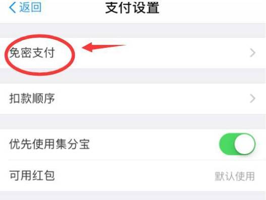 没有免密支付的软件