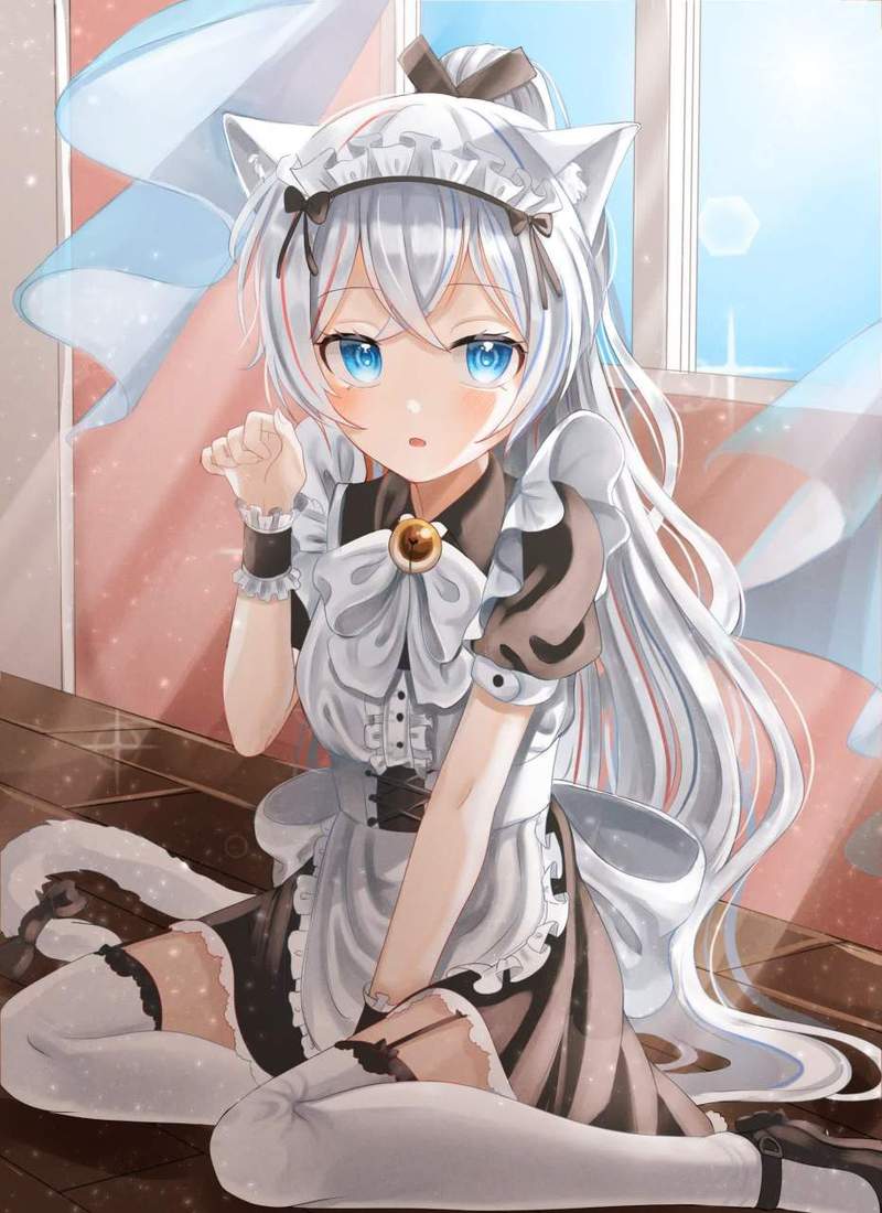 猫咪女仆下载