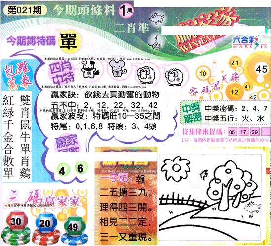 彩经网安卓版下载