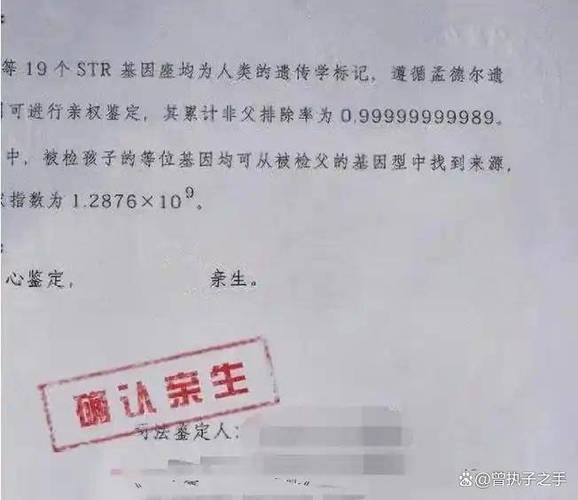 亲子鉴定6个月生子后续