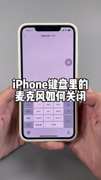 苹果手机左上角的麦克风怎么关