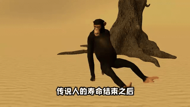 人与自然狒狒全集