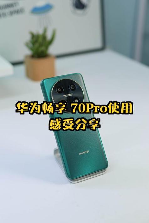 畅享70左侧键子是什么