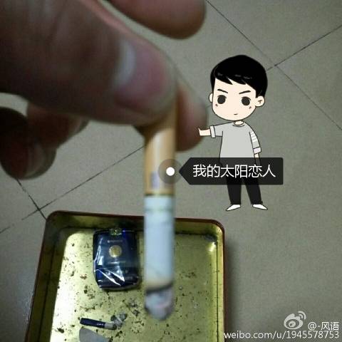 追风成烟小说完整版