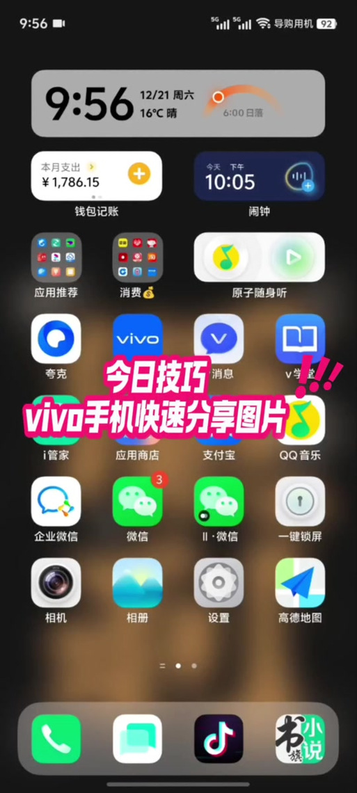 vivo共享相册在哪里打开