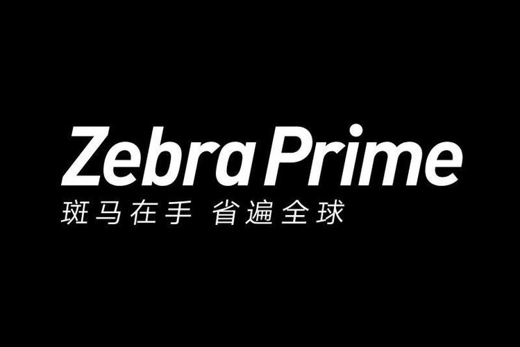 免费下载斑马会员