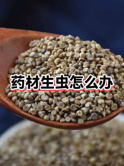 中药生虫怎么去除
