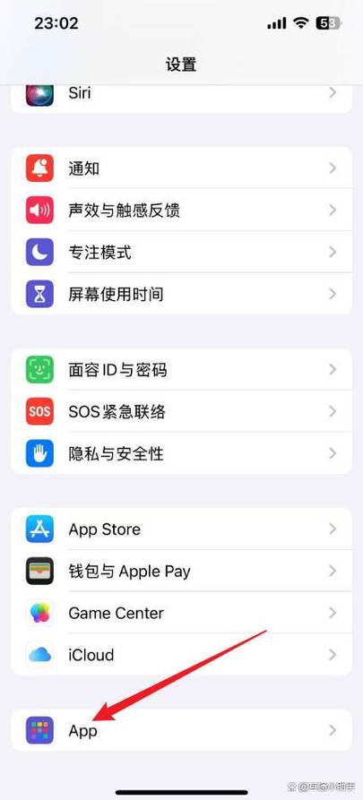 ios王者荣耀语音权限