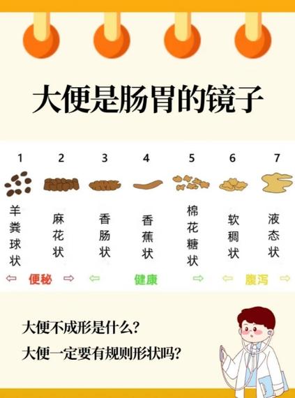 大便不成形但不是拉稀