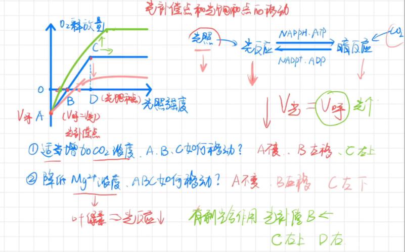 到达光饱和点后的限制