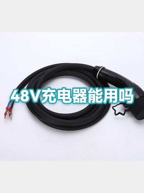 手机充电器能给别的手机充电吗