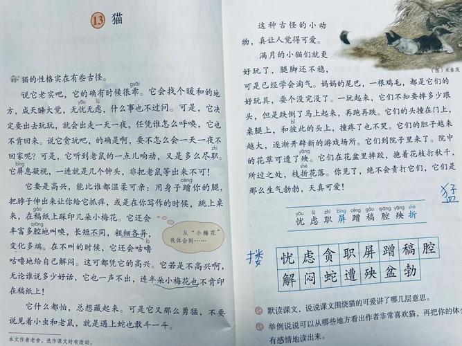 老舍的猫原文阅读