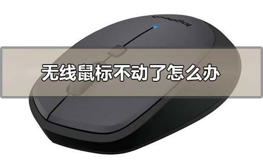 鼠标下面突然不亮了为什么