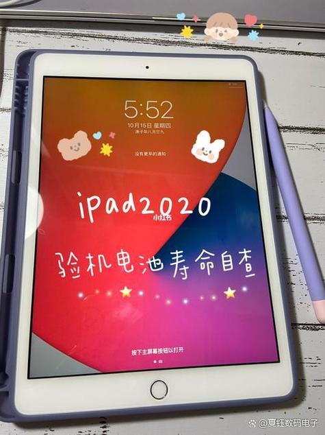 ipad查电池寿命截图2