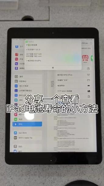 ipad查电池寿命截图3