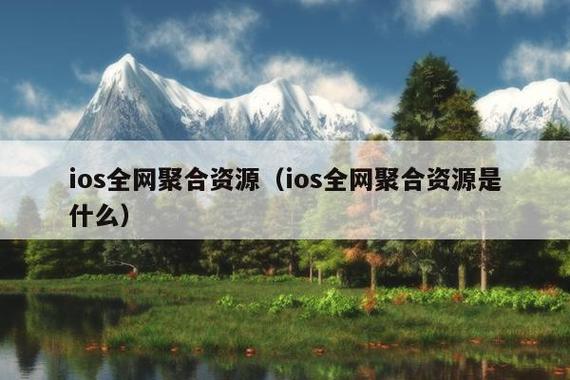 聚合VIPiOS版截图2