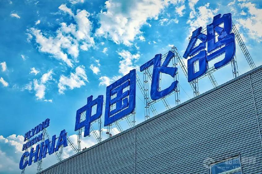 河北飞鸽是正品还是高仿图标