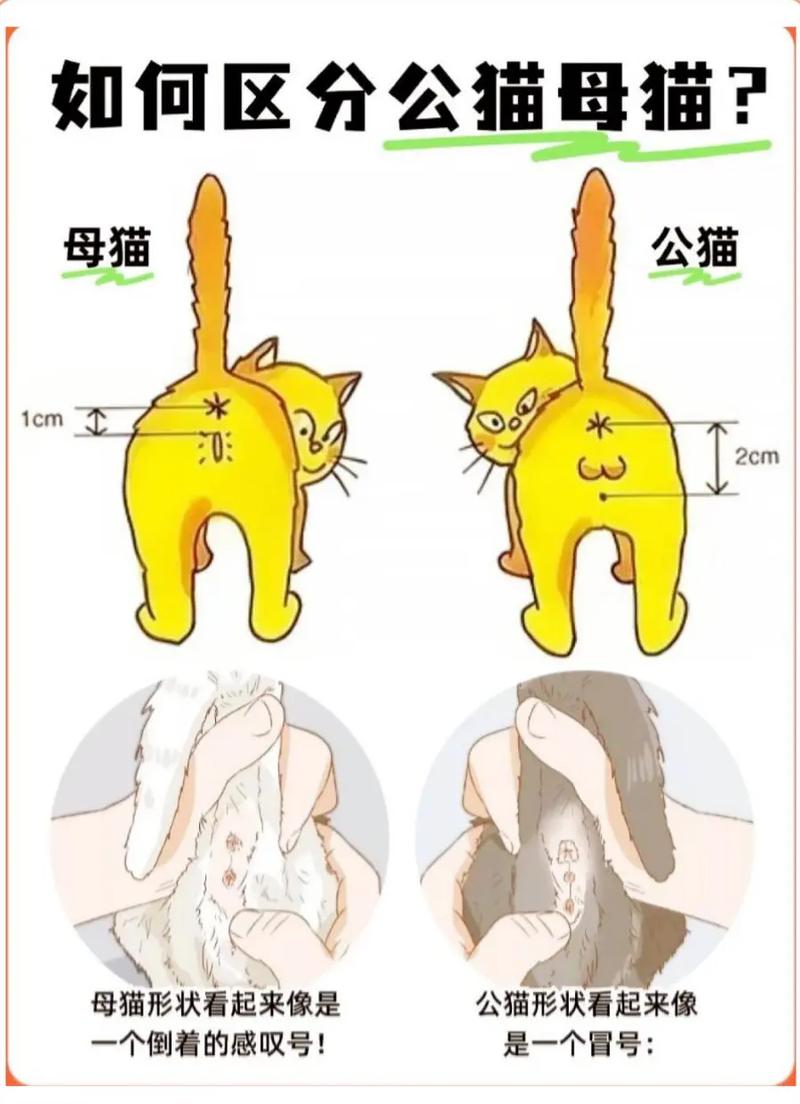 cpu正式版和es版怎么区分