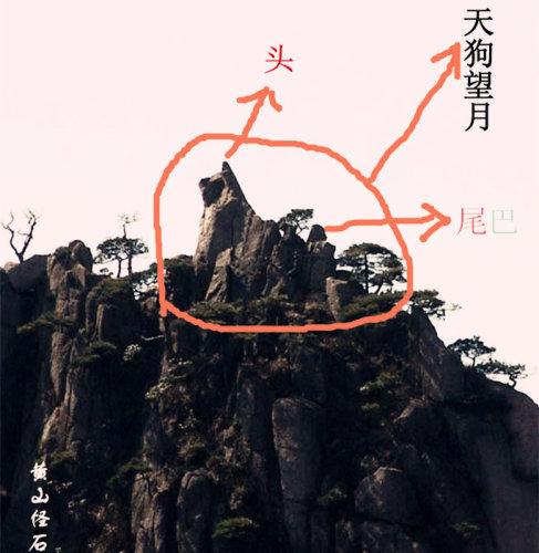 天狗望月的图片真实版