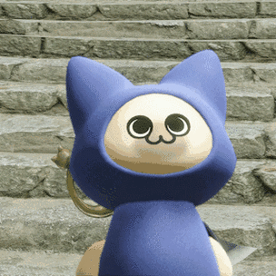呆猫表情包gif