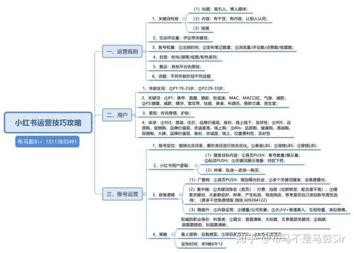 网红公司怎么运营