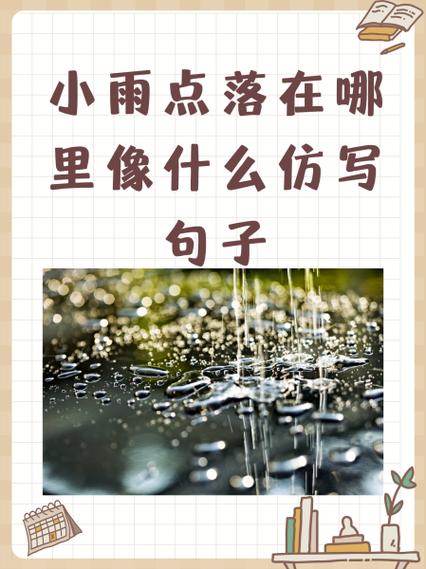 小雨点番外我叫苏雨点