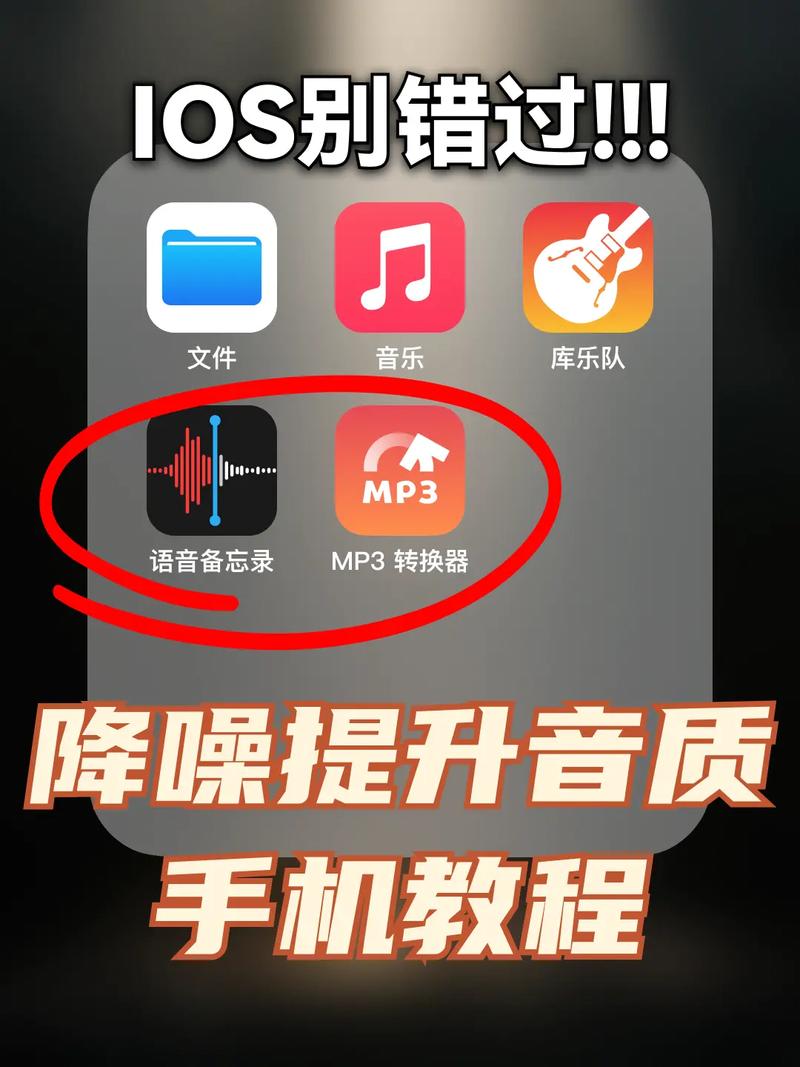 苹果手机打语音有沙沙的声音