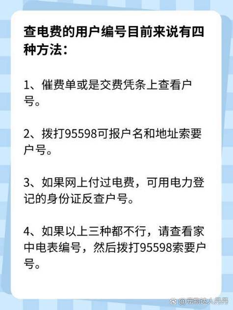 用户号怎么查电费使用情况
