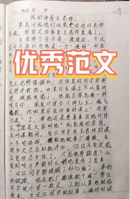 我的体育老师评价