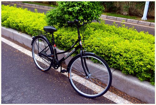 普通自行车