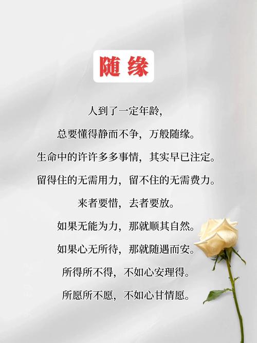 随心缘什么意思