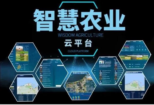智慧云平台怎么修改学校