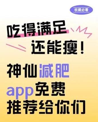可以看到自己瘦下来的软件