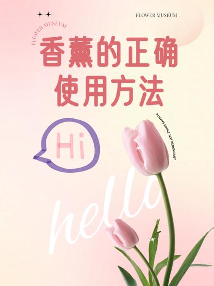 独宠plus正确使用方法