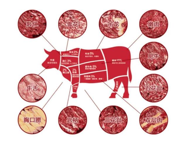 牛肉面的牛肉是牛的哪个部位