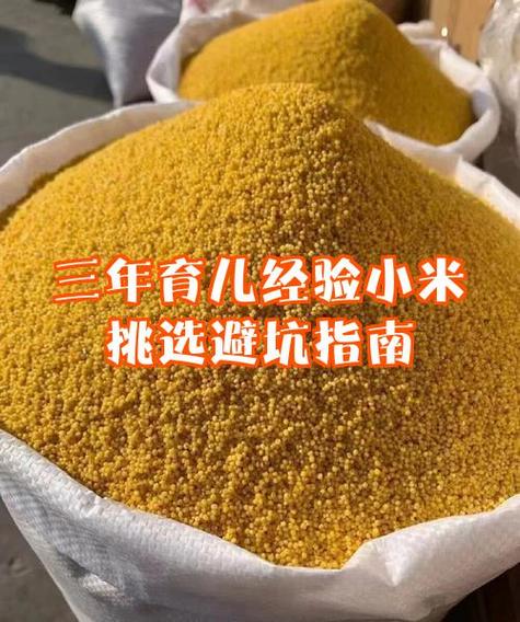 懂行的人买小米10s还是10