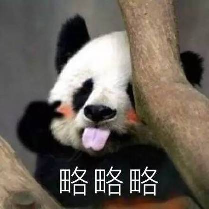 大熊猫可爱表情包