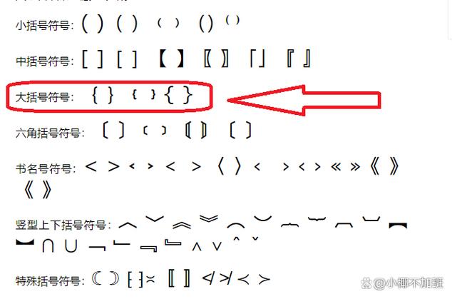 怎样在word文档里加入大括号