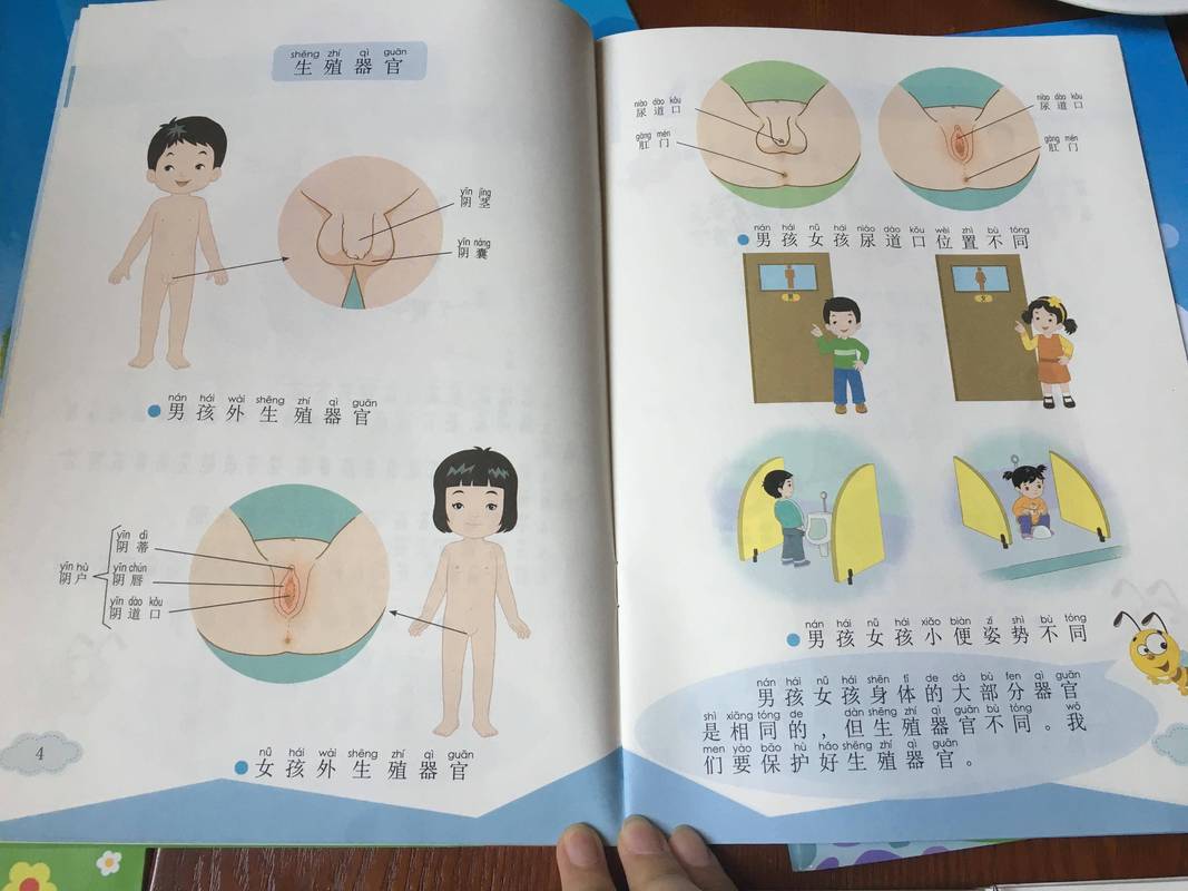 人的隐私布位是什么图片