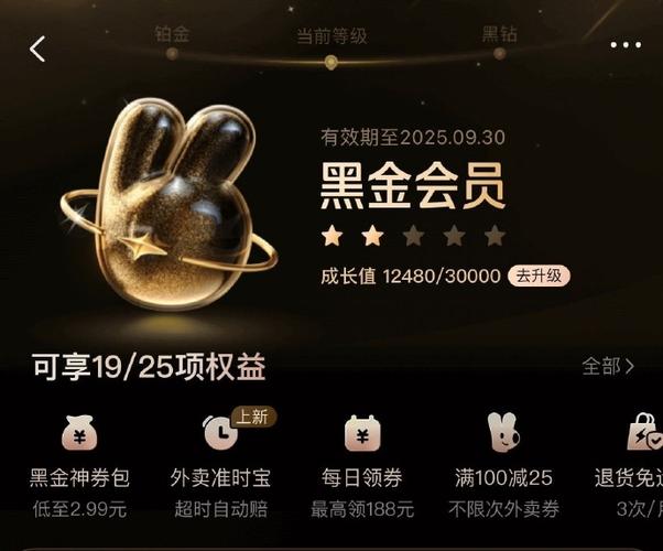 美团黑金会员要交费吗