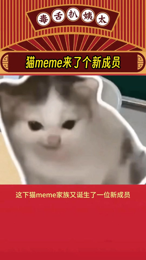 猫meme竖大拇指