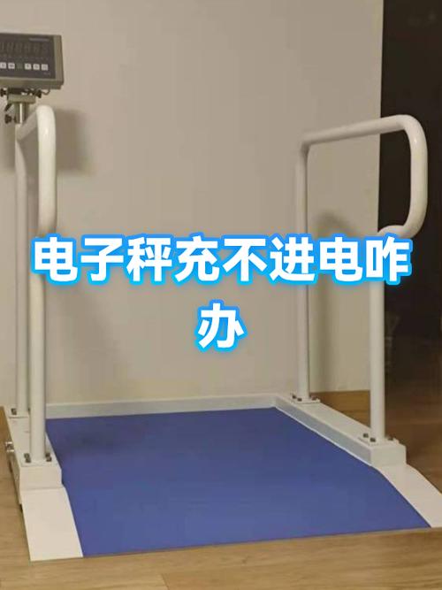 电子秤充电不进去什么问题截图3