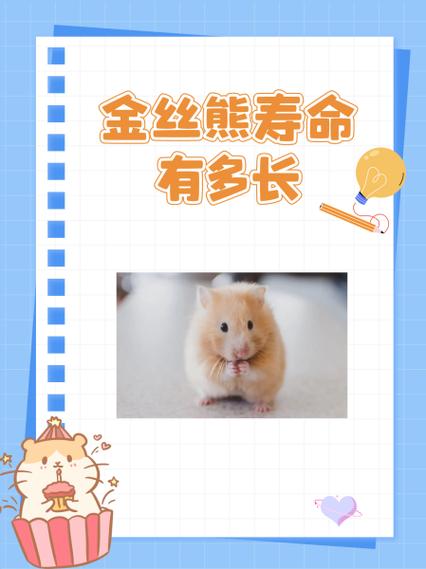金丝熊有狂犬病能活几天