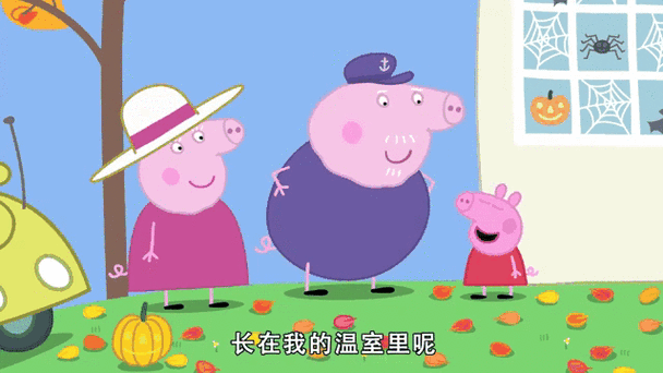 佩奇美化包专用框架