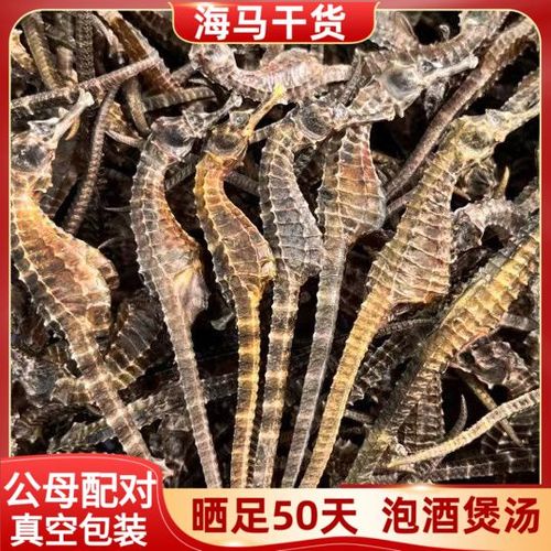 一对干海马大约多少钱