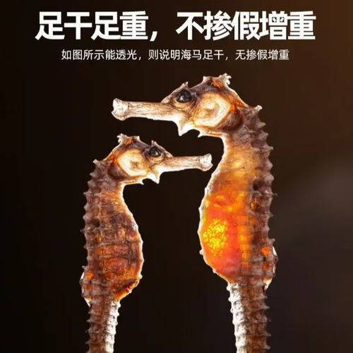 一对干海马大约多少钱截图3
