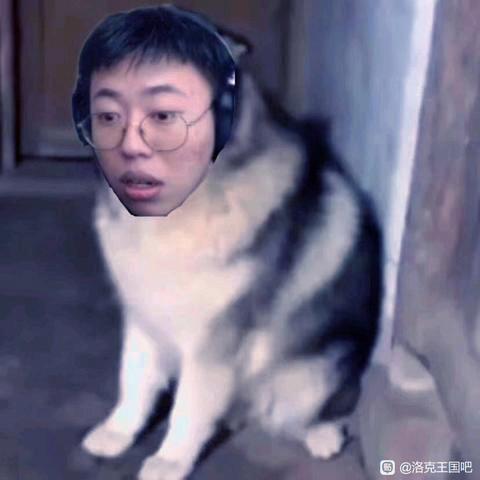 王者荣耀狂魔哥