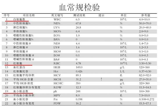 TT偏高的临床意义